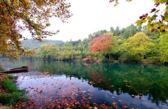 一日服务 - 张纪帆