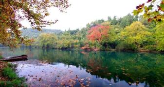 一日服务 - 张纪帆