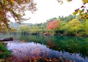 一日服务 - 张纪帆